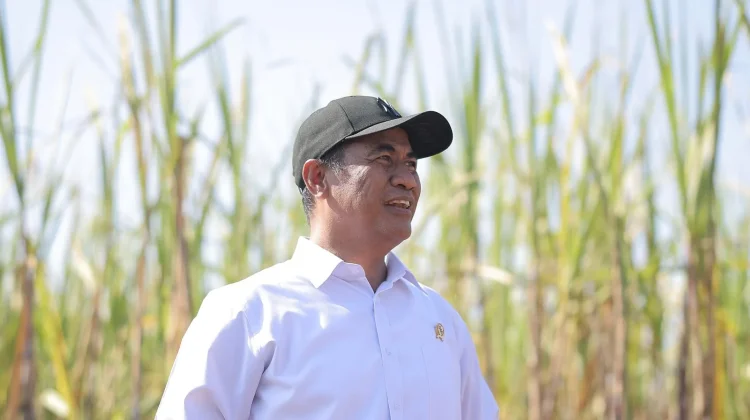 Kementan Percepat Upaya Swasembada Gula