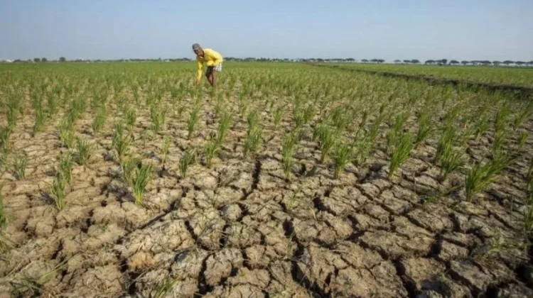 BMKG Perluas Operasi Modifikasi Cuaca Antisipasi El Nino