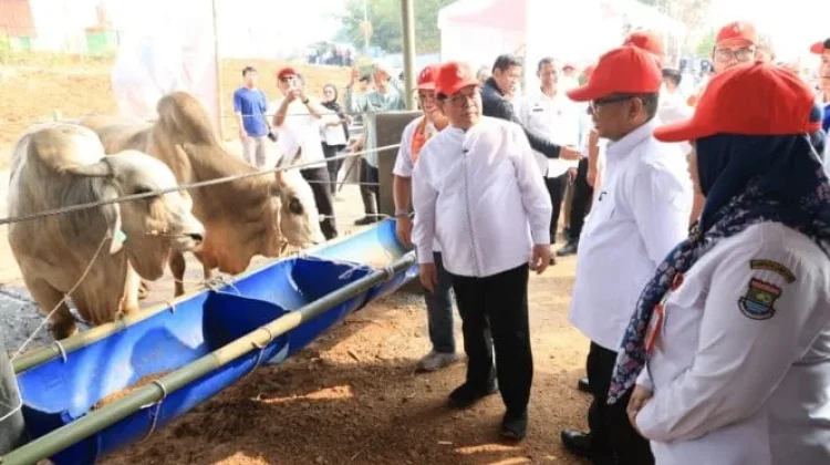 Gubernur DKI Investasi Sentra Ketahanan Pangan, Ini Respons Andra Soni