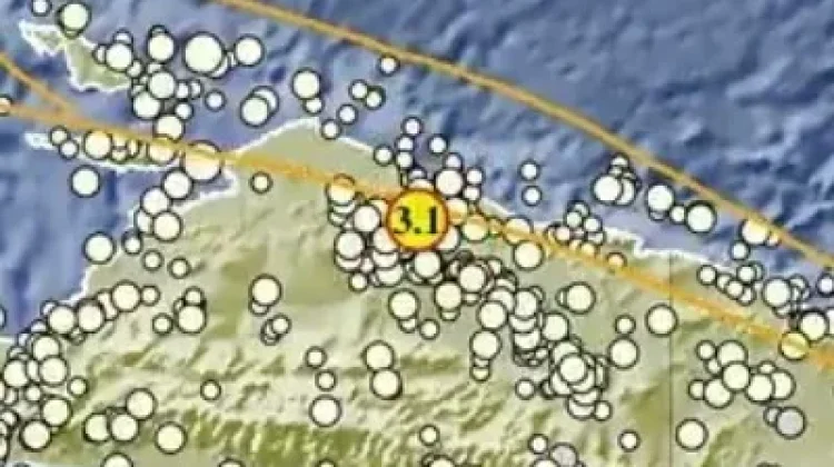 Gempa Magnitudo 3,1 Landa Wilayah Barat Laut Sarmi, Papua