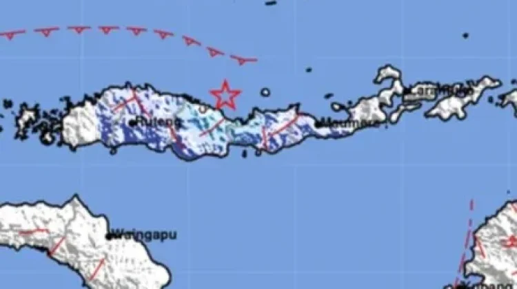 Gempa Magnitudo 4,6 Guncang Laut Utara Mbay, Nagekeo