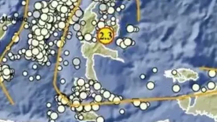 Gempa Magnitudo 2,3 Terjadi di Barat Daya Halmahera Timur