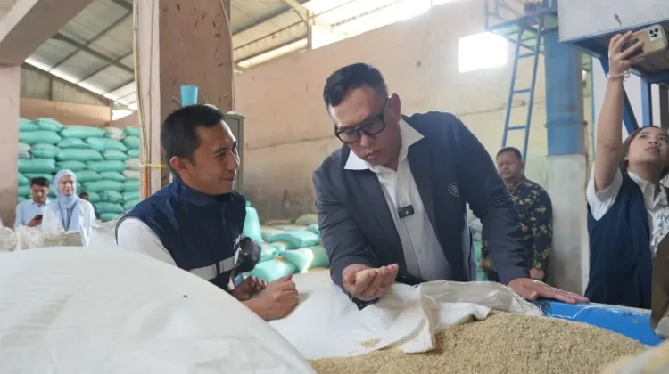 BPS Proyeksikan Produksi Beras Capai 28,71 Juta Ton September 2026