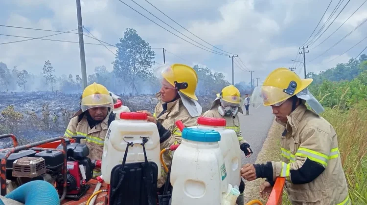 BNPB Koordinasikan Penanganan Karhutla di Dua Kabupaten Bangka Belitung