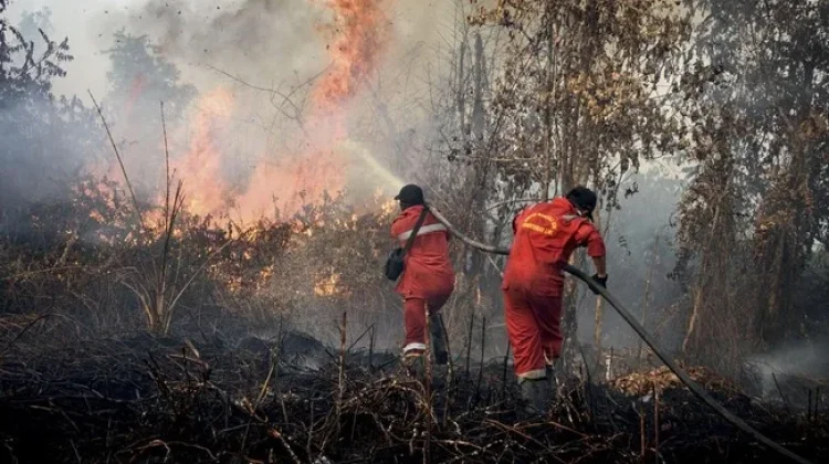 BMKG Keluarkan Peringatan, Puncak El Nino Diprediksi Lebih Dahsyat hingga 2027