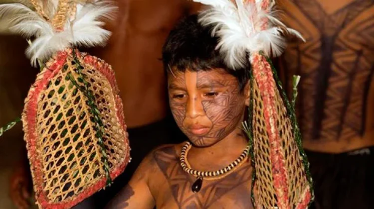 Ritual Semut Peluru, Tradisi Ujian Kedewasaan Suku Sateré-Mawé