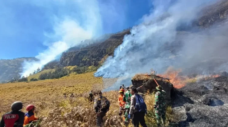 Karhutla di Gunung Bromo Belum Padam