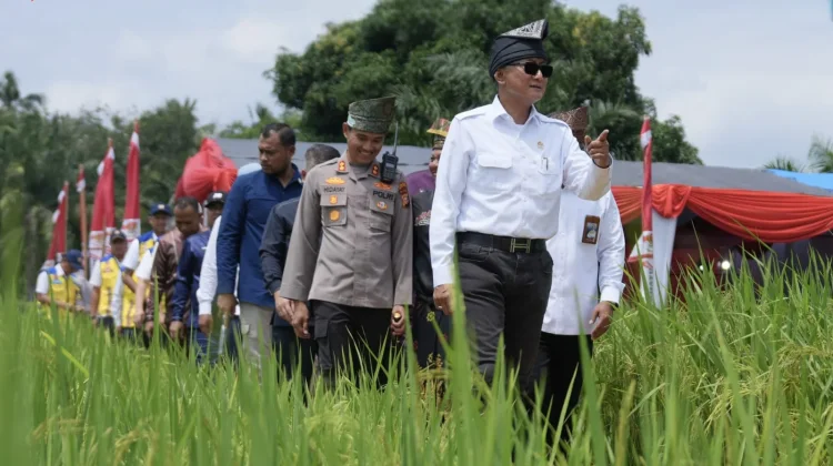 Kementerian PU Percepat Rehabilitasi Irigasi Kuansing Dukung Swasembada Pangan