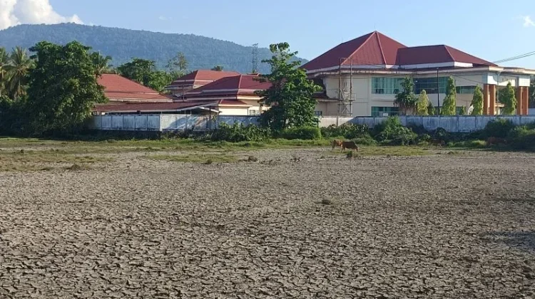 Sulawesi Utara Terancam Kekeringan, BMKG Sebut Curah Hujan Terus Menurun