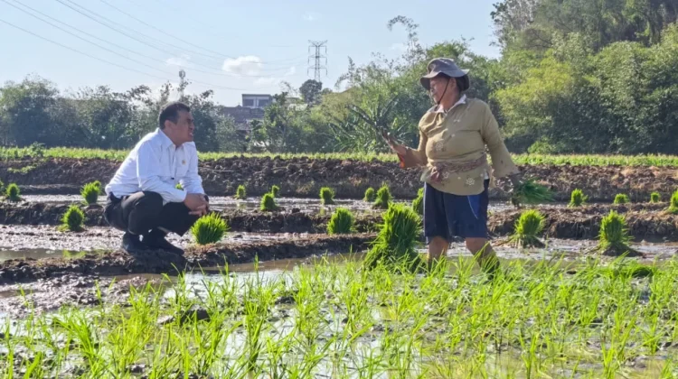 Mentan Hadiahi Traktor usai Dengar Keluhan Petani