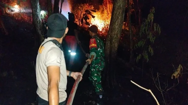 Madani Harap Status Darurat Karhutla Papua Selatan Diperpanjang hingga Desember