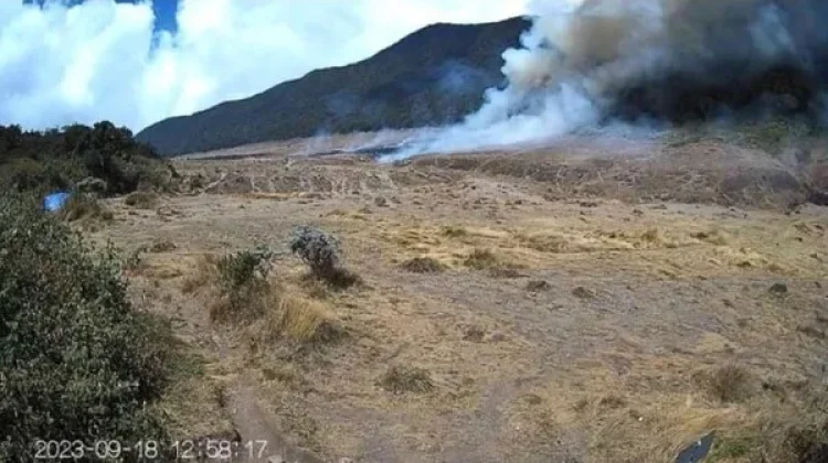 Kebakaran Suryakencana, Pendakian Gunung Gede Ditutup Empat Hari