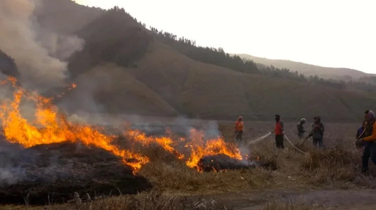 TNBTS Duga Kebakaran Gunung Bromo Dipicu Ulah Manusia