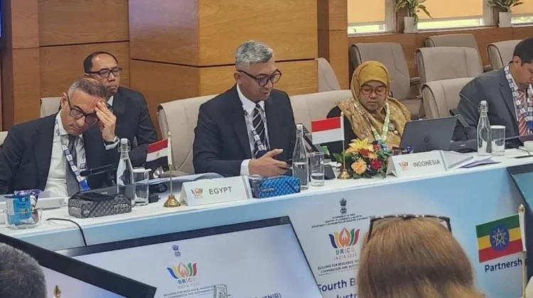 Indonesia Ikut Susun Agenda Industri BRICS, Perkuat Kolaborasi Global