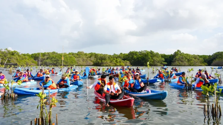 IMIP Dukung Penanaman Sejuta Mangrove di 37 Provinsi