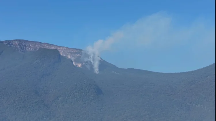 Kemenhut Tutup sementara Pendakian Gunung Gede Pangrango Pascakebakaran