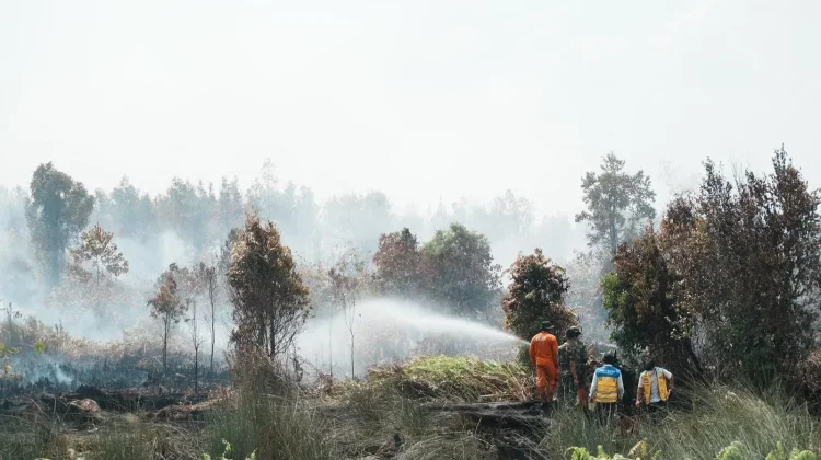 Kementerian PU Kerahkan Personel dan Truk Tangki Tangani Karhutla di Kalteng