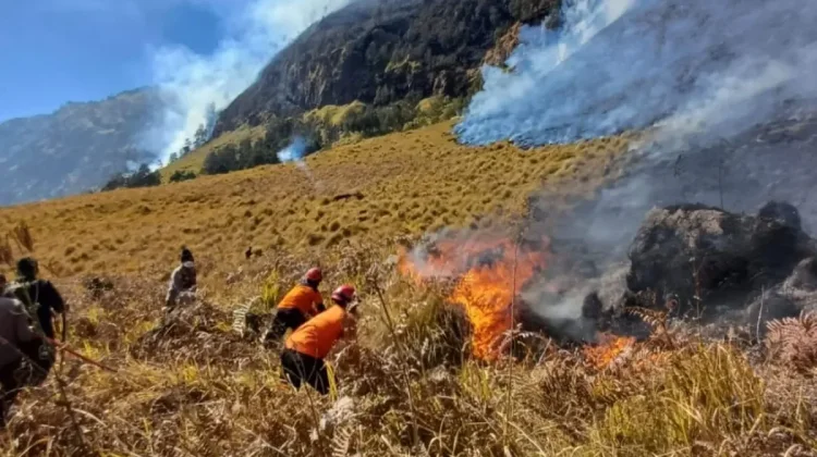 TNBTS: Karhutla Gunung Bromo Meluas akibat Angin Kencang