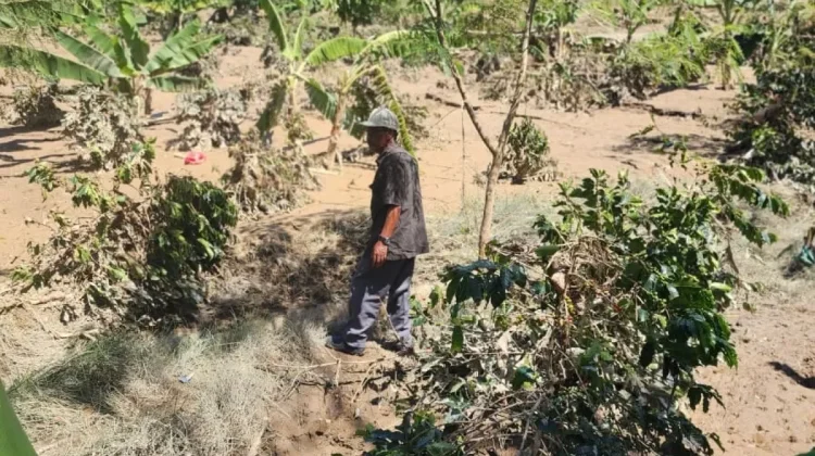Satgas PRR: Lahan Rusak Berat di Aceh Perlu Kajian Khusus