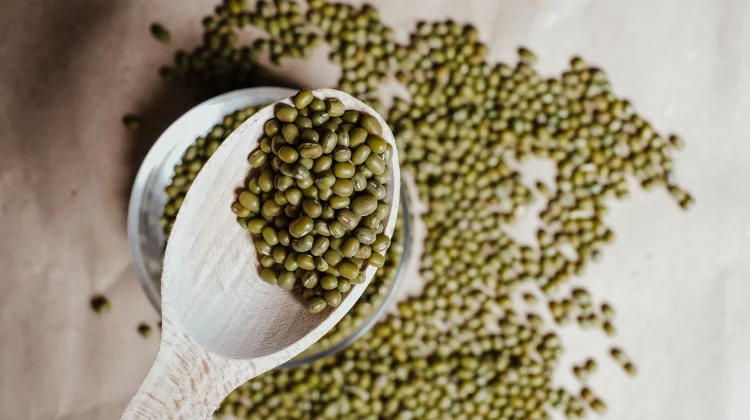 Kacang Hijau, Bahan Pangan Sederhana yang Kaya Nutrisi