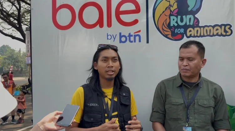 PKEK Kembangkan Program Pengembangbiakan Elang untuk Jaga Populasi di Alam