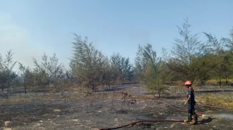 BMKG Deteksi 40 Titik Panas di Babel, Warga Diimbau Tak Bakar Lahan
