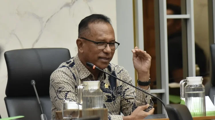 Bromo Terbakar 520 Hektare, Anggota Komisi IV DPR Minta Tambah Armada Water Bombing