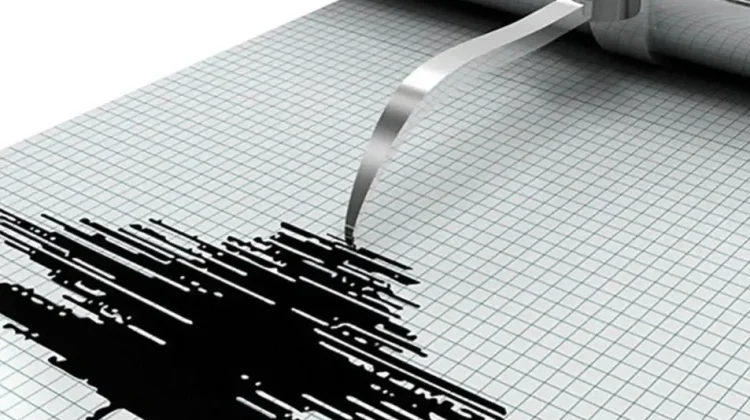 Nabire Papua Diguncang Gempa Magnitudo 3,0