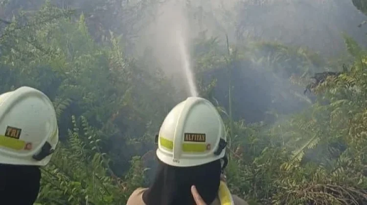 Damkar Beberkan Penyebab Kebakaran Lahan di Dekat Stasiun Kampung Bandan