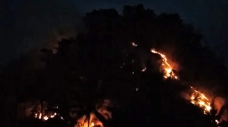 Menuju Puncak, Kebakaran Gunung Picung Cianjur Diduga dari Pembakaran Sampah