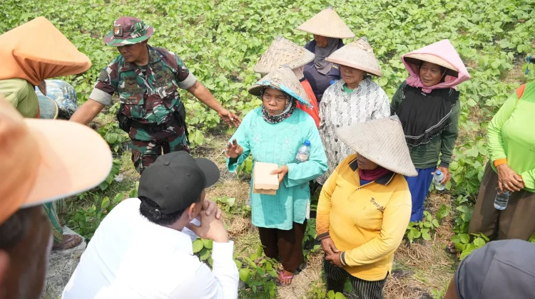 Mentan Siapkan Aturan Baru agar Buruh Tani Dapat Alsintan