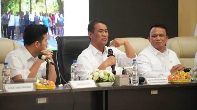 Mentan Amran Jaga Harga Pakan, Telur Wajib Diserap SPPG