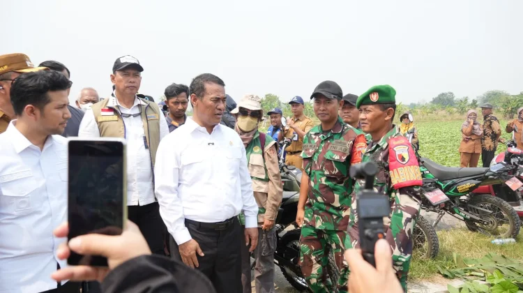 Mentan Jelaskan TNI Bantu Petani tanpa Honor Tambahan