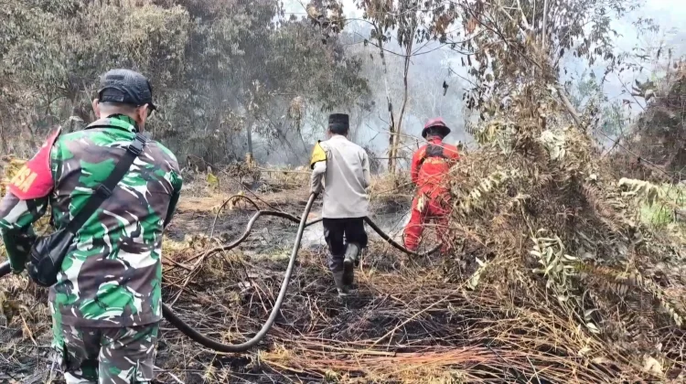 El Nino Menguat, Pemerintah Perketat Langkah Pencegahan Antisipasi Karhutla