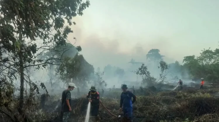 Kebakaran Hutan di Kotawaringin Barat Capai 160 Kejadian
