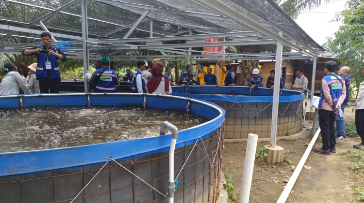 Harmoni Berkelanjutan dari Tanah Masam Menjadi Kehidupan di Kawasan IMIP