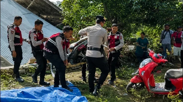 Gempa Magnitudo 7,7 Flores dan Tragedi 1992, Apa Hubungannya? Ini Kata BMKG dan Pakar