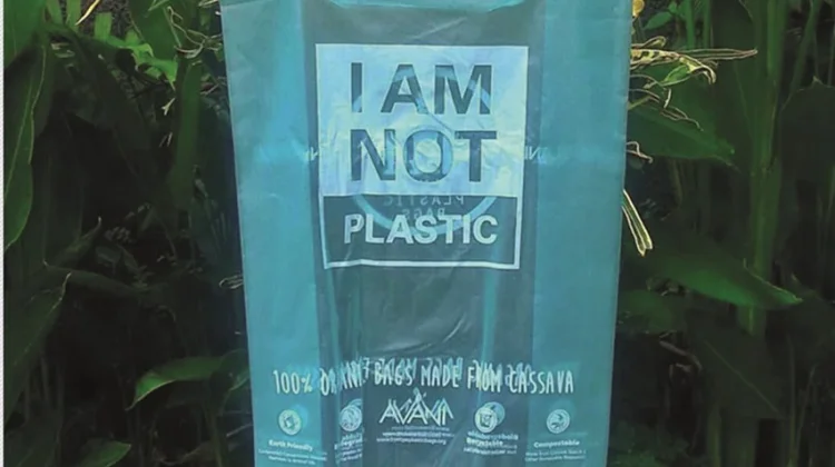Plastik Singkong, Inovasi Lokal yang Bisa Terurai Lebih Cepat