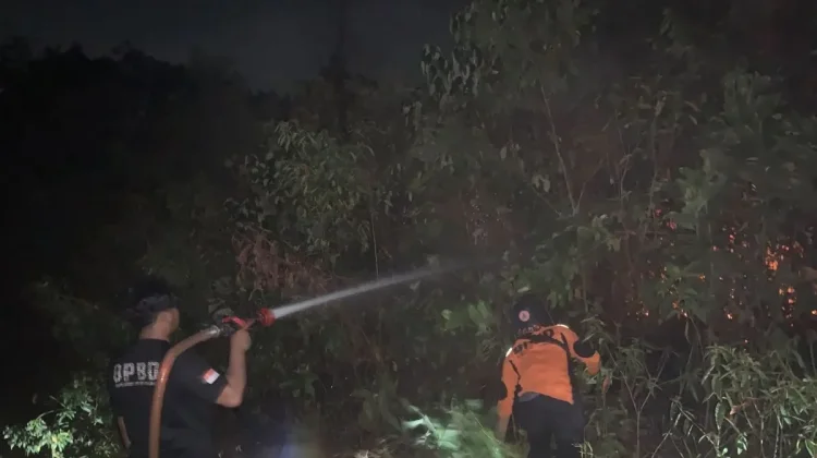 Karhutla Empat Hektare di Muara Enim Berhasil Dipadamkan