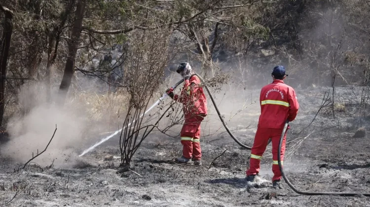 Kemenhut Lanjutkan Pendinginan Area Karhutla Gunung Bromo