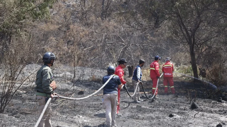 Kementerian Kehutanan Perkuat Pencegahan Karhutla, Pasca Kebakaran Bromo