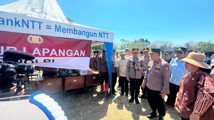 Penanganan Gempa NTT, Boni Hargens Apresiasi Sinergi Polri dan Lintas Lembaga