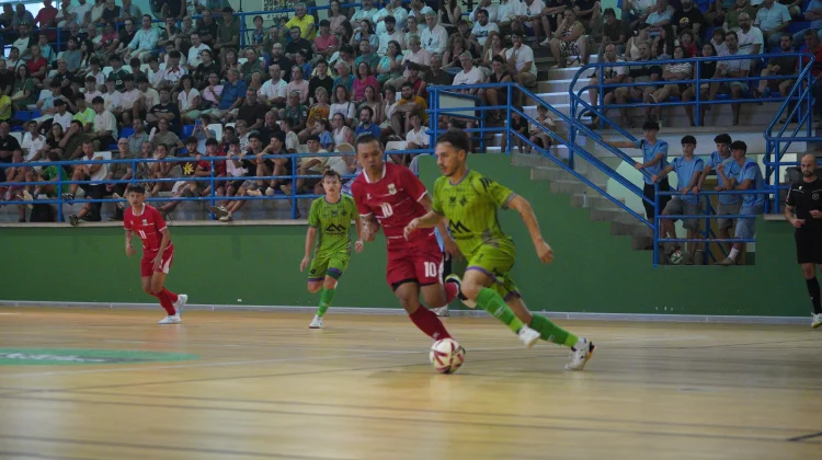 Timnas Futsal Indonesia Kalah Dari Palma FC