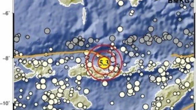 Gempa M5,3 Guncang Flores NTT, BMKG Pastikan Tidak Berpotensi Tsunami