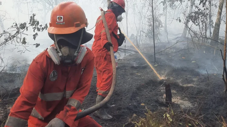 Pemerintah Kerahkan Belasan Ribu Petugas Tangani Karhutla di Kalimantan
