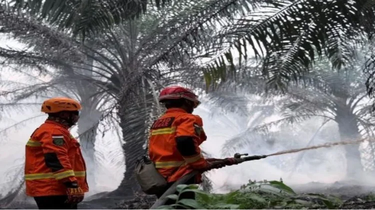 BNPB Prioritaskan Penanganan Karhutla di Enam Provinsi