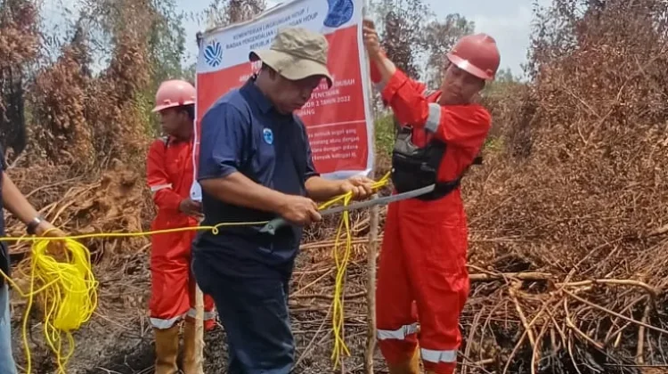 KLH Segel Area Konsesi PT Bintang Harapan Terkait Karhutla