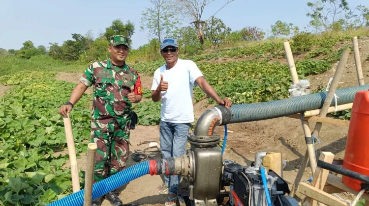 Pemkab Bekasi Kerahkan Puluhan Pompa Air Antisipasi Lahan Pertanian Kekeringan