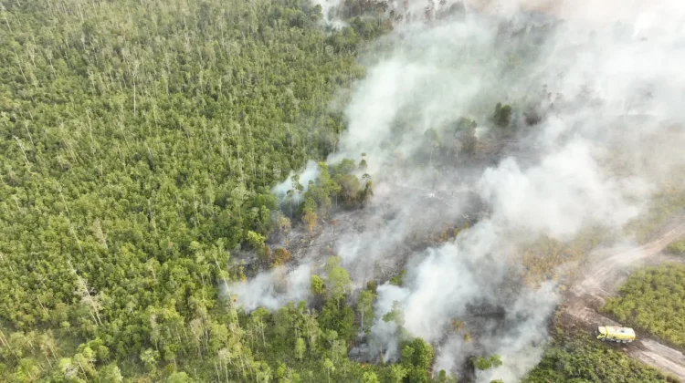 Pemerintah Maksimalkan Operasi Modifikasi Cuaca Atasi Karhutla Kalimantan