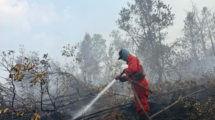 Operasi Karhutla Kalimantan Diperkuat, Pemerintah Kerahkan 12.880 Personel
